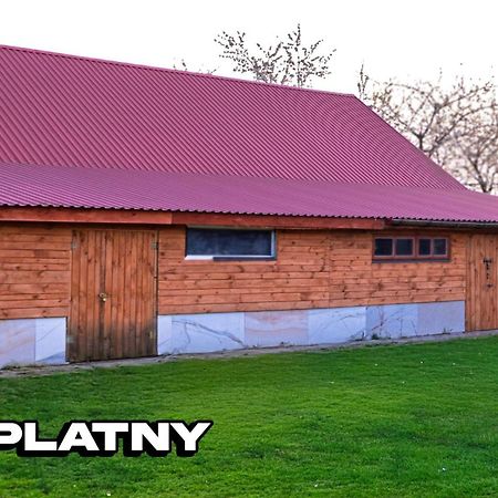 Agroturystyka Nielisz Zamosc - Kwatery Przy Skansenie Eksteriør bilde